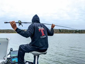 Big T Hoodies